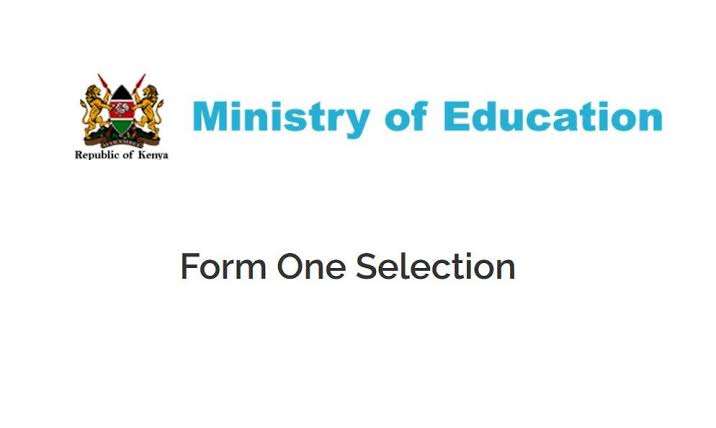 Ministry explains how transfer/change of school placed for 2019 form one can be effected
