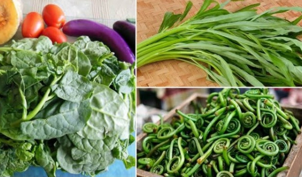 Nutritious traditional vegetables that boost one’s immunity