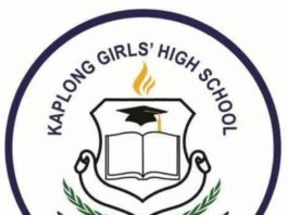 Kaplong Girls National School KCSE 2019 Results and distribution of grades