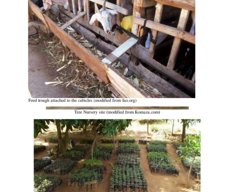 KCSE 2020 Agriculture (443) Projects KNEC Instructions