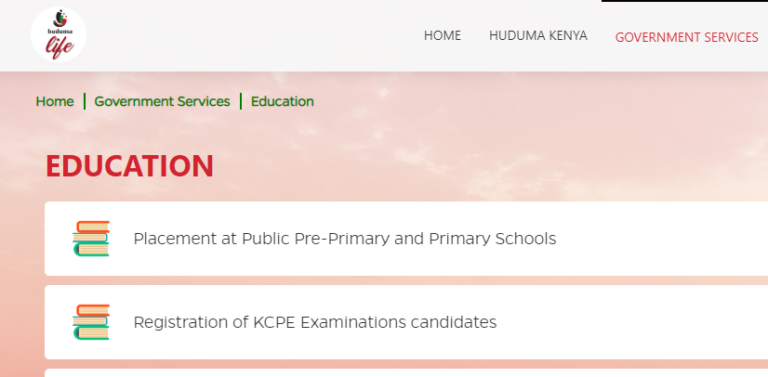 Education services offered at Huduma Centre